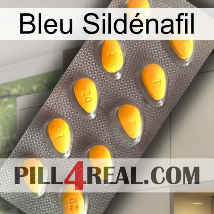 Bleu Sildénafil cialis1